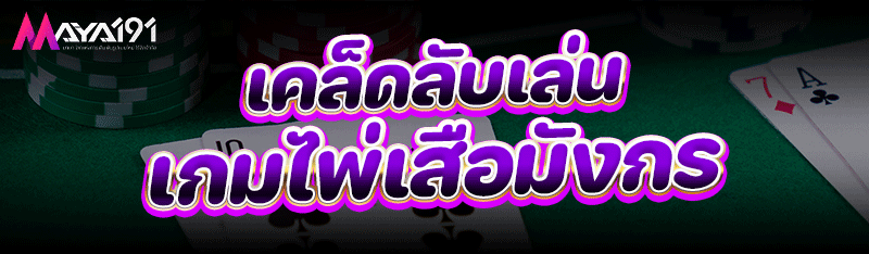 เคล็ดลับเล่น เกมไพ่เสือมังกร