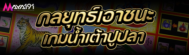 กลยุทธ์เอาชนะ เกมน้ำเต้าปูปลา
